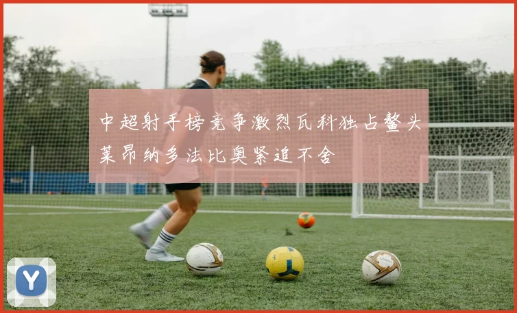 中超射手榜竞争激烈瓦科独占鳌头莱昂纳多法比奥紧追不舍