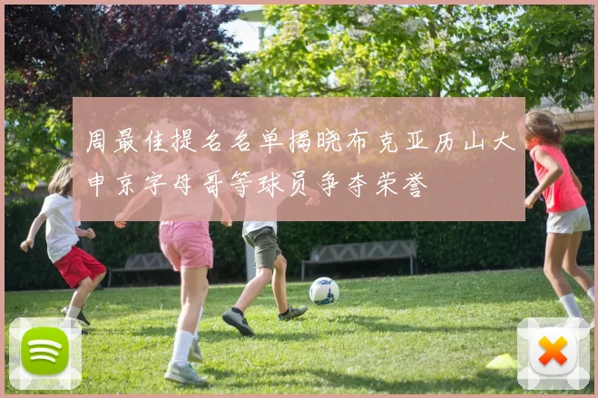 周最佳提名名单揭晓布克亚历山大申京字母哥等球员争夺荣誉