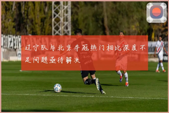 辽宁队与北京夺冠热门相比深度不足问题亟待解决