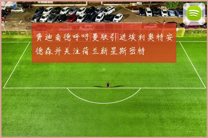 费迪南德呼吁曼联引进埃利奥特安德森并关注荷兰新星斯密特